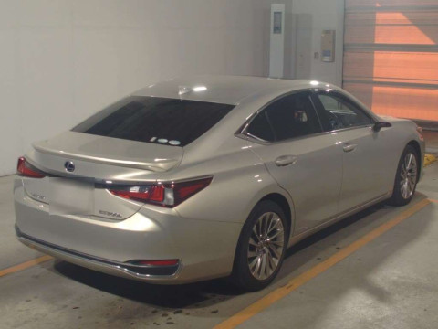 2019 Lexus ES AXZH10[1]