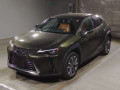 2021 Lexus UX