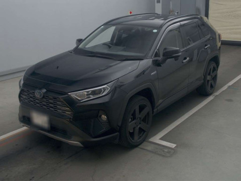 2019 Toyota RAV4 AXAH54[0]