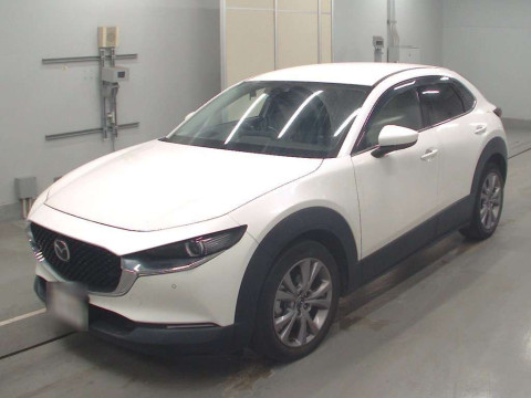 2019 Mazda CX-30 DM8P[0]