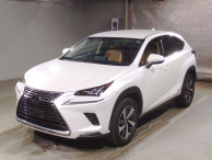 2019 Lexus NX