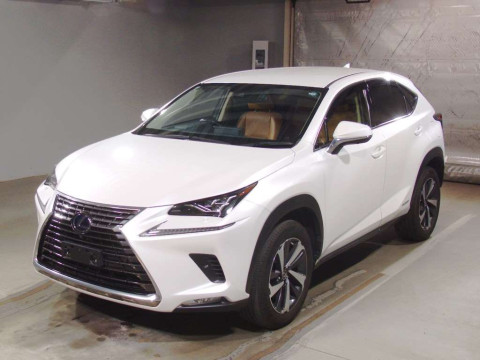 2019 Lexus NX AYZ10[0]