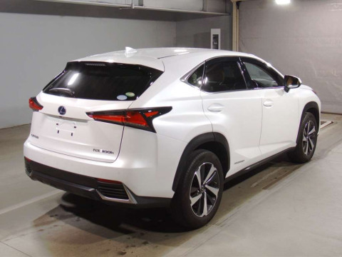 2019 Lexus NX AYZ10[1]