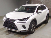 2021 Lexus NX