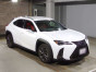 2019 Lexus UX