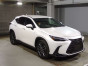 2022 Lexus NX