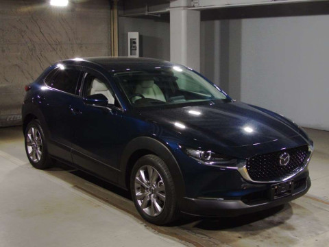 2019 Mazda CX-30 DMEP[2]