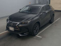 2014 Lexus NX