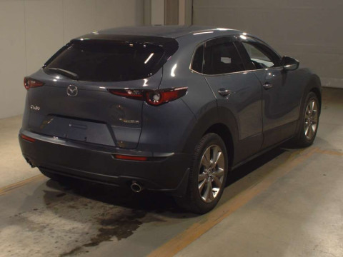 2019 Mazda CX-30 DM8P[1]