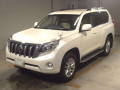 2017 Toyota Land Cruiser Prado