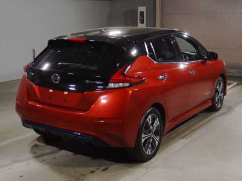 2019 Nissan Leaf ZE1[1]