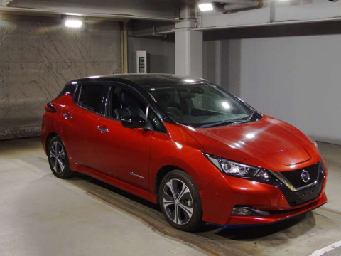 2019 Nissan Leaf ZE1[2]