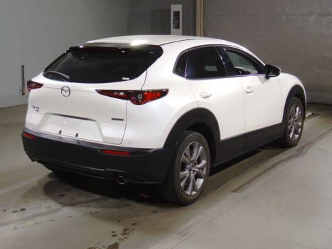 2019 Mazda CX-30 DMEP[1]