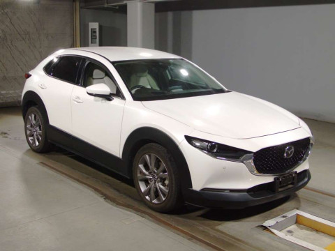 2019 Mazda CX-30 DMEP[2]