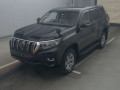 2019 Toyota Land Cruiser Prado