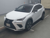 2020 Lexus NX