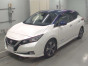 2019 Nissan Leaf