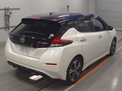 2019 Nissan Leaf ZE1[1]