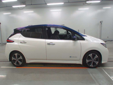 2019 Nissan Leaf ZE1[2]