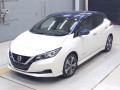 2019 Nissan Leaf