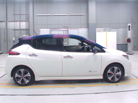 2019 Nissan Leaf ZE1[2]