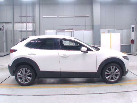 2020 Mazda CX-30 DMEP[2]