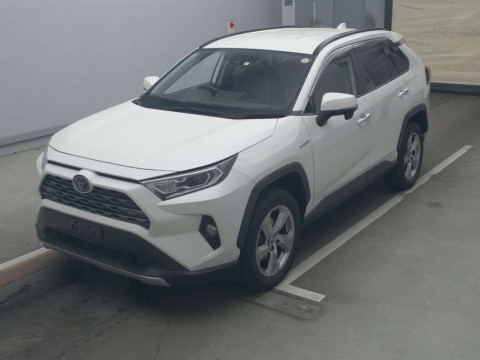 2019 Toyota RAV4 AXAH54[0]