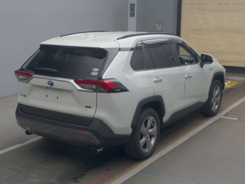 2019 Toyota RAV4 AXAH54[1]