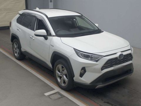 2019 Toyota RAV4 AXAH54[2]