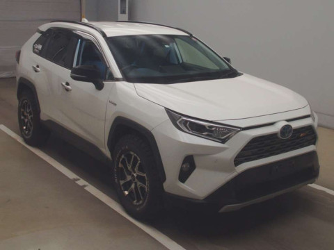 2019 Toyota RAV4 AXAH54[2]