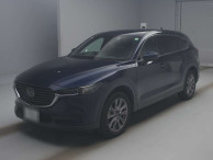 2019 Mazda CX-8