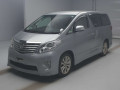 2010 Toyota Alphard