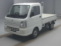 2019 Suzuki Carry Truck