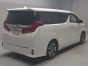 2021 Toyota Alphard