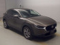 2019 Mazda CX-30