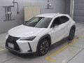 2021 Lexus UX