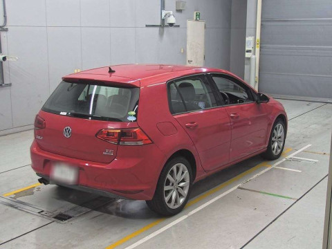 2013 Volkswagen Golf AUCPT[1]