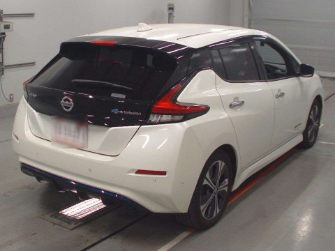 2020 Nissan Leaf ZE1[1]