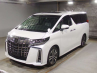 2019 Toyota Alphard