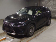 2019 Lexus NX