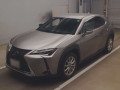 2019 Lexus UX