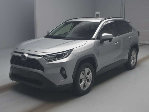 2019 Toyota RAV4 AXAH54[0]