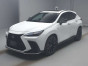 2021 Lexus NX