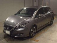 2019 Nissan Leaf