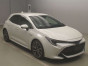 2019 Toyota Corolla Sports