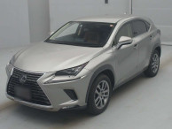 2019 Lexus NX