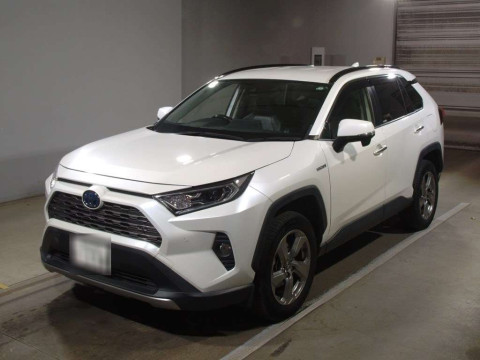 2019 Toyota RAV4 AXAH54[0]