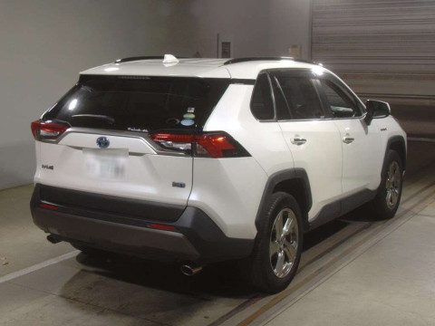 2019 Toyota RAV4 AXAH54[1]