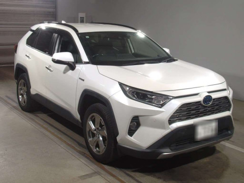 2019 Toyota RAV4 AXAH54[2]