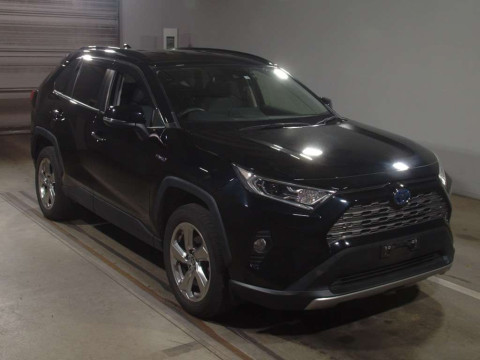 2019 Toyota RAV4 AXAH54[2]